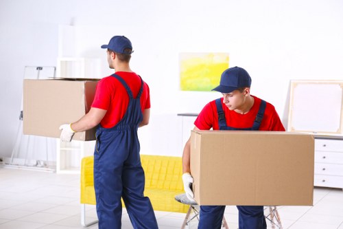 Local removals team planning a move in Belvedere with boxes and furniture