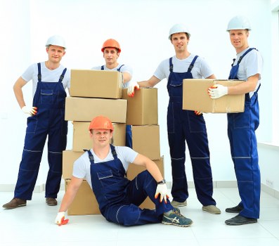 Modern document storage solutions for businesses in Belvedere