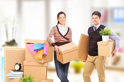Careful loading of boxes for a house move in Belvedere
