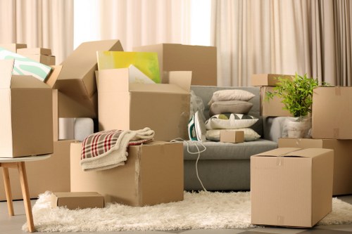 Professional movers handling a small flat move in Belvedere
