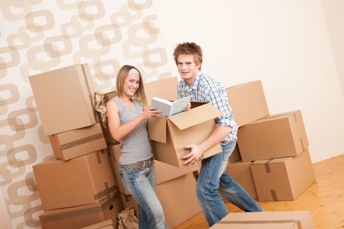 Organised removal and storage service for Belvedere residents